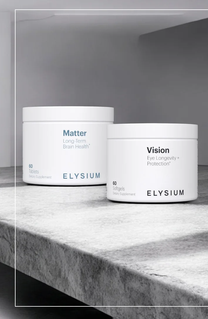 Matter | Vision | ELYSIUM