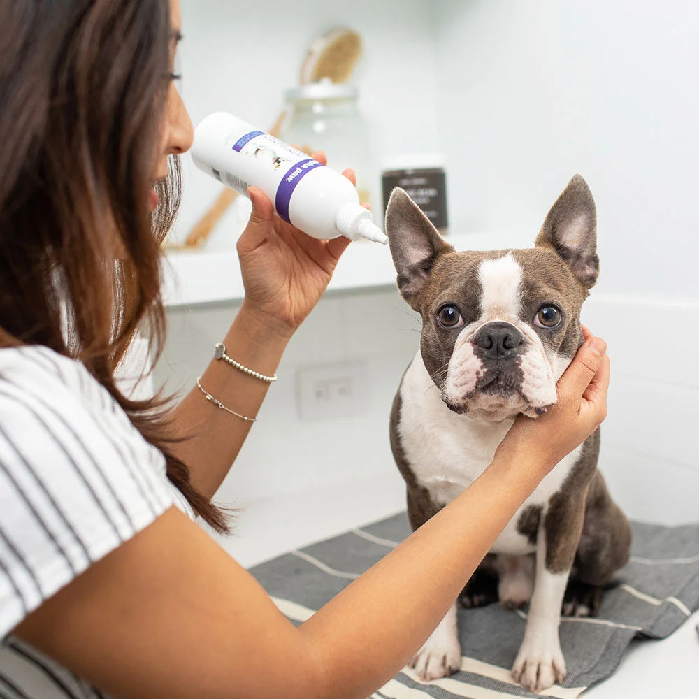 Image of Antibacterial & Antifungal Medicated Ear Flush