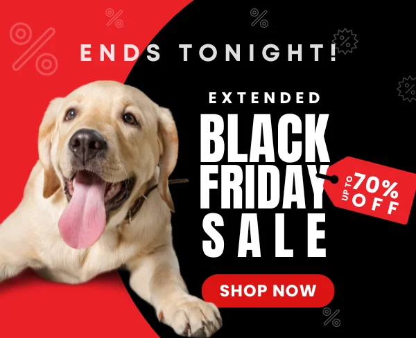 Black Friday Sale