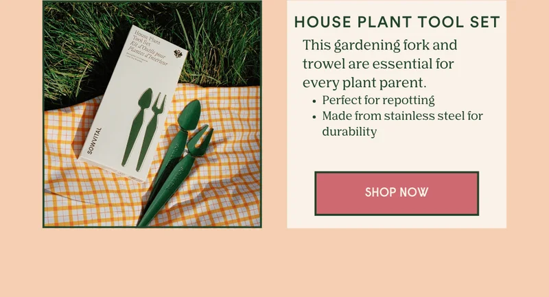 shop the house plant tool set