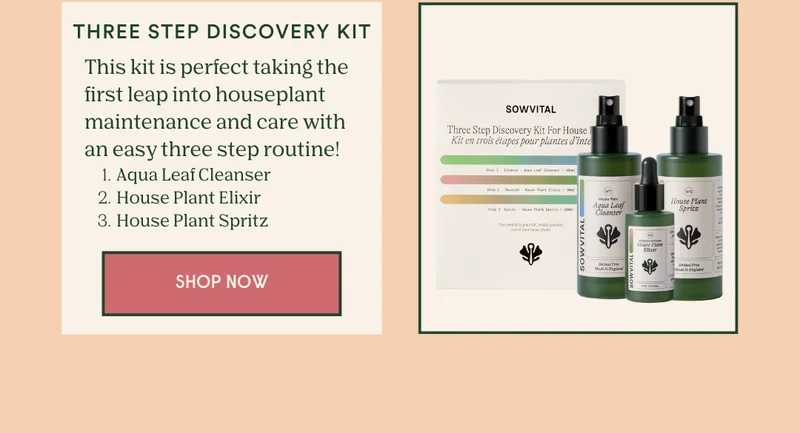 Shop the Three Step Discover Set