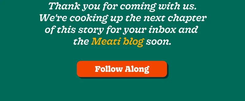 Follow Along