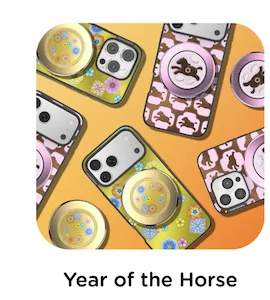 Year of the Horse
