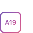 A19 chip