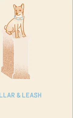 Collar & Leash