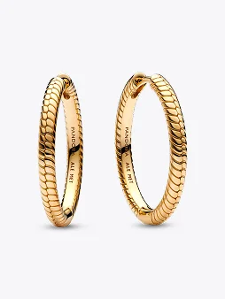 Pandora Moments Charm Hoop Earrings