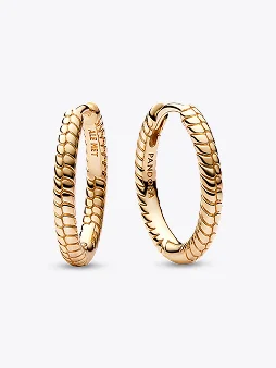 Pandora Moments Small Charm Hoop Earrings