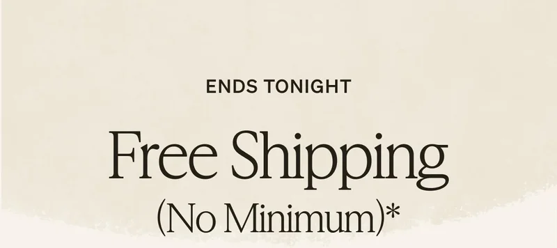Free Shipping (No Min) + Up to 40% Off Almost Everything