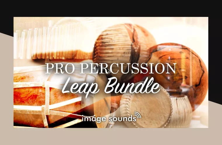 Pro Percussion Leap Bundle