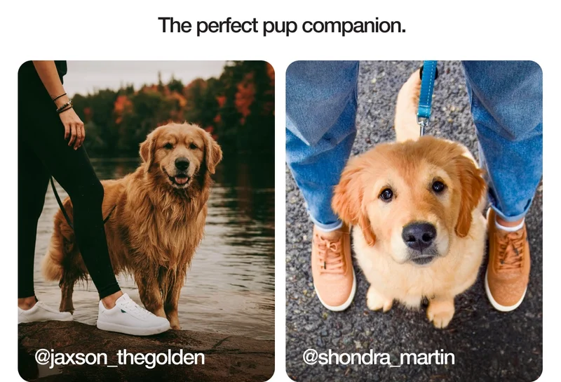 The perfect pup companion.