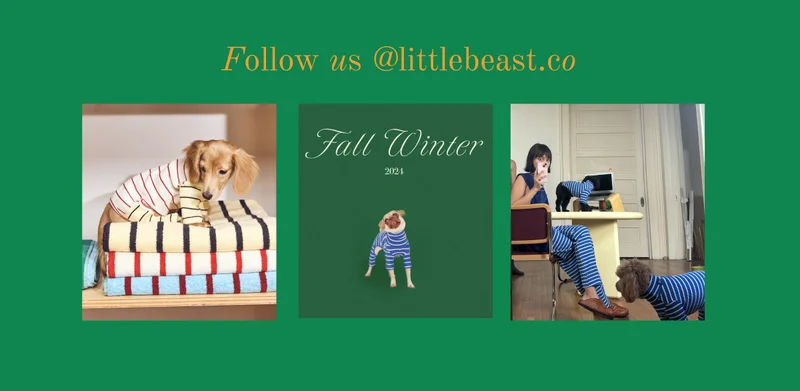Follow us on Instagram