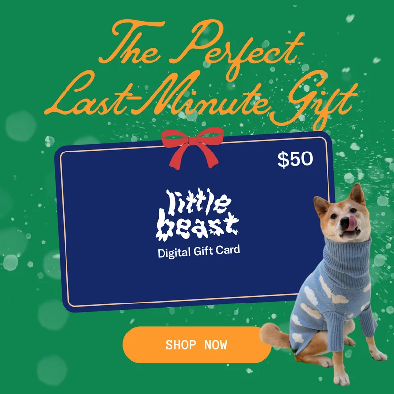 The Perfect Last-Minute Gift