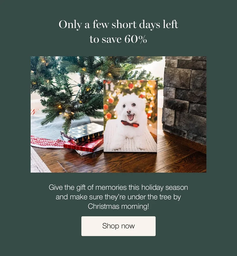 Only a few short days left to save 60%. Give the gift of memories this holiday season and make sure they're under the tree by Christmas morning!