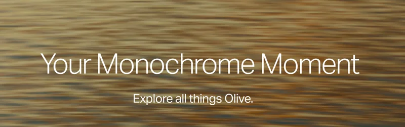 Explore all things Olive.