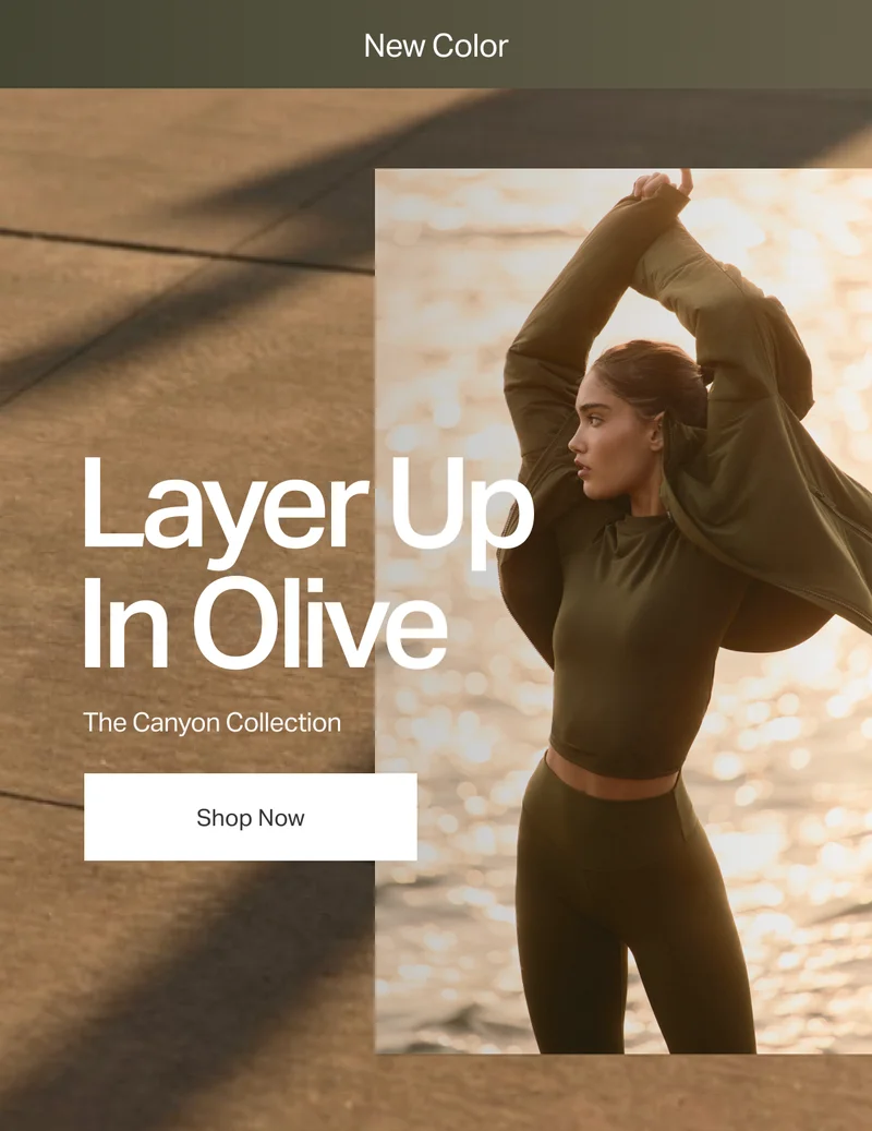 New Color: The Canyon Collection in Olive