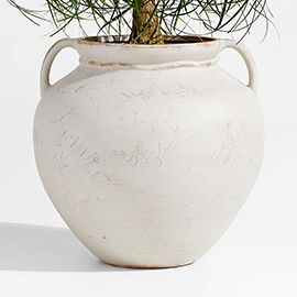 Cannes 17.5"" Earthenware Planter by Laura Kim
