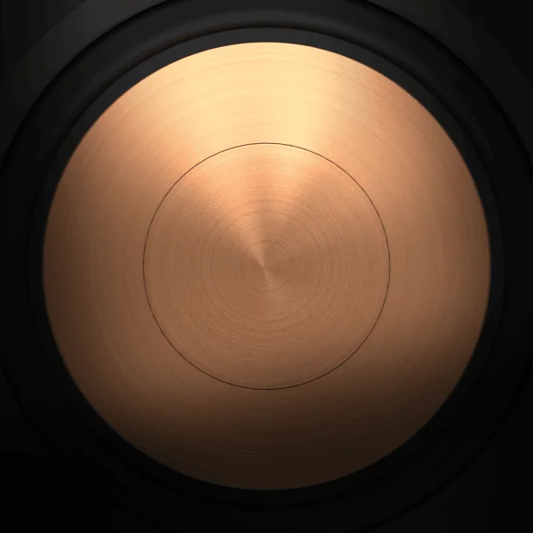 R-50M Woofer Close Up