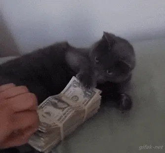 A gray cat slaps a hand away from their stack of cash