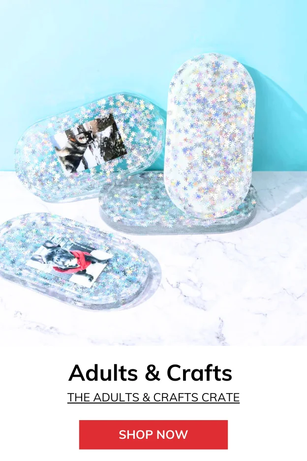 Custom Lego Kits