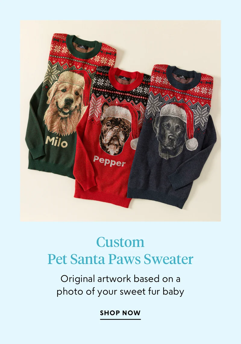 shop now