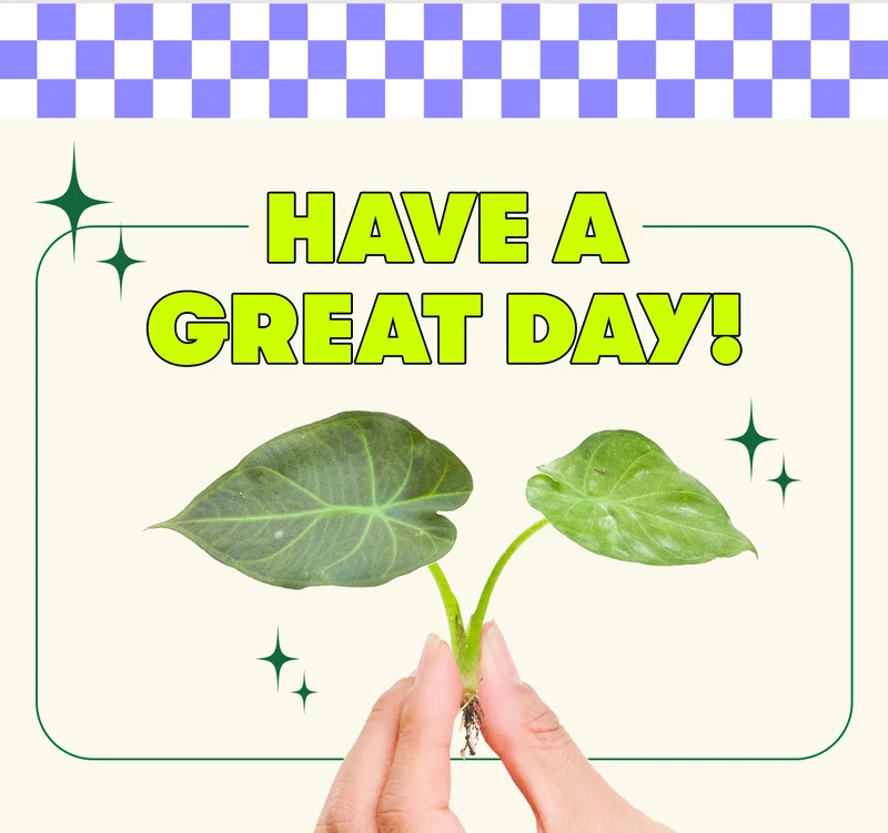 Have a great day!