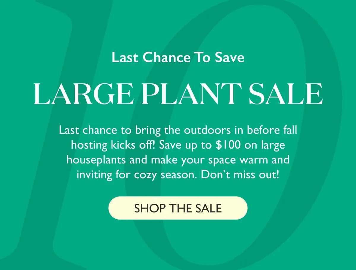 LARGE PLANT SALE: UP TO $100 OFF