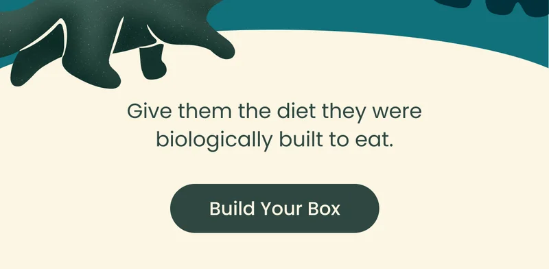 Build Your Box