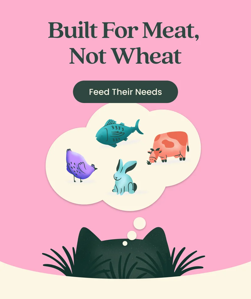 Feed Their Needs