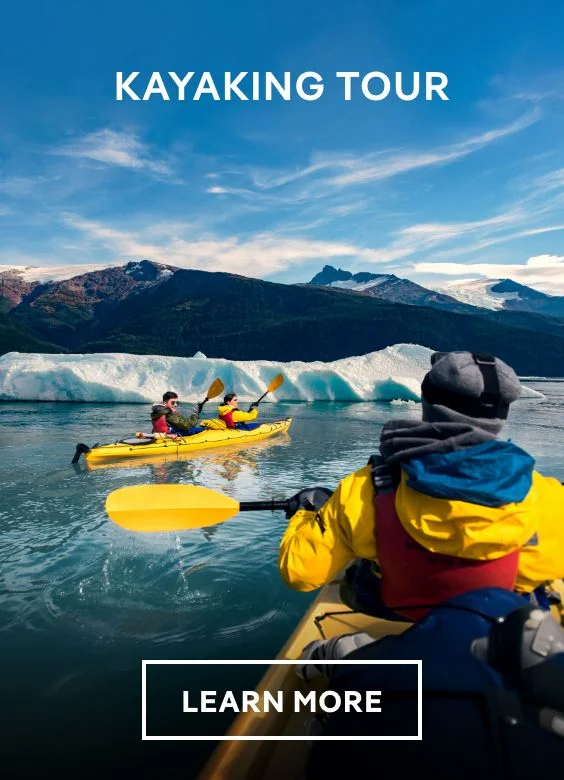 Kayaking Tour From Sitka – Click to Learn More