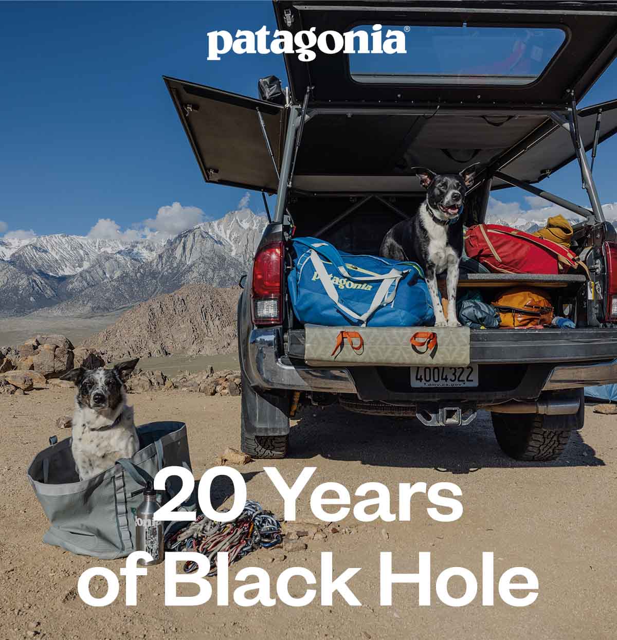 20 years of Black Hole. Two dogs and a bunch of gear bags at a dusty campsite.