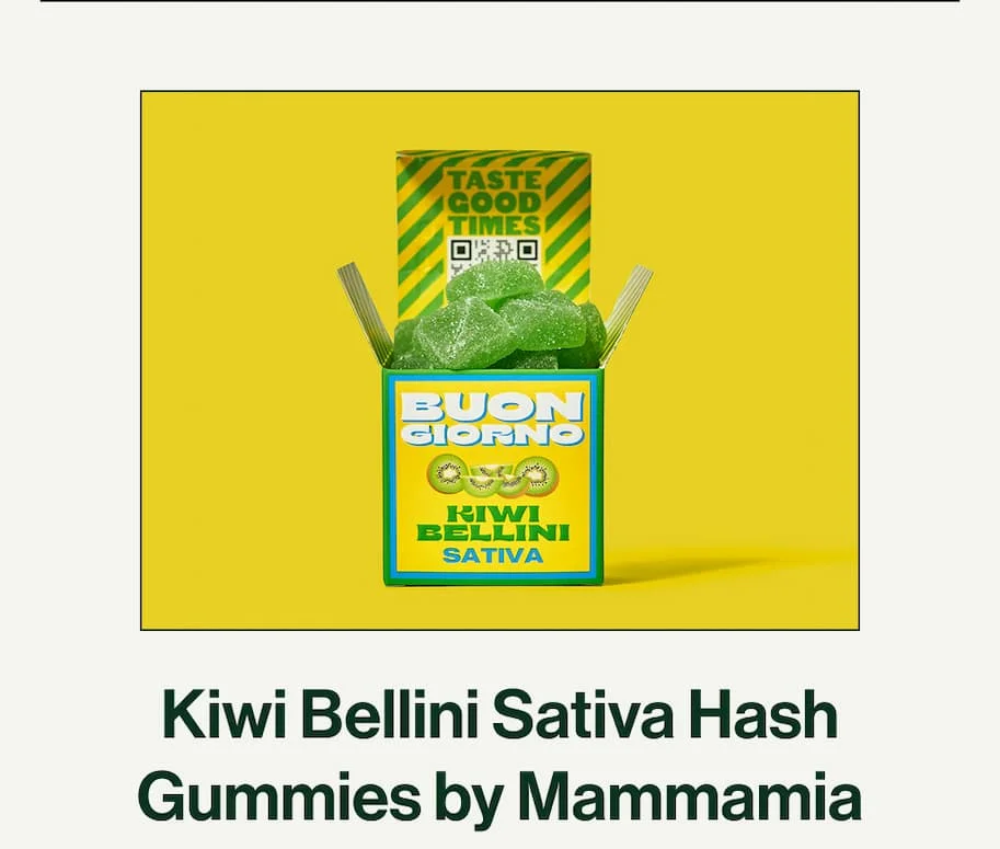 Kiwi Bellini Sativa Hash