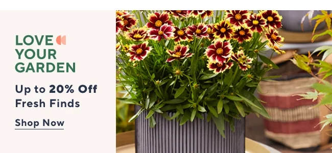 Love Your garden
