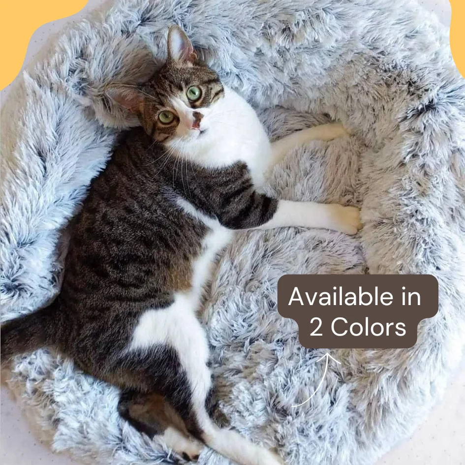 OrthoPlush Bed for Cats