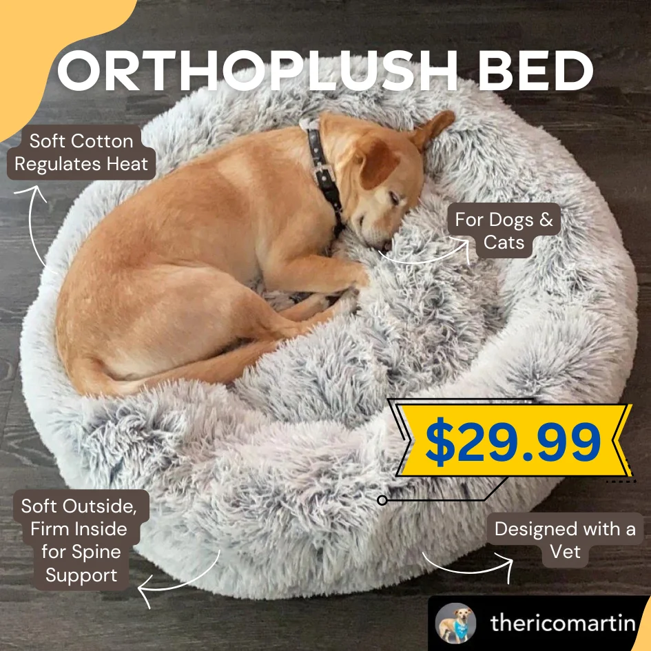 OrthoPlush bed