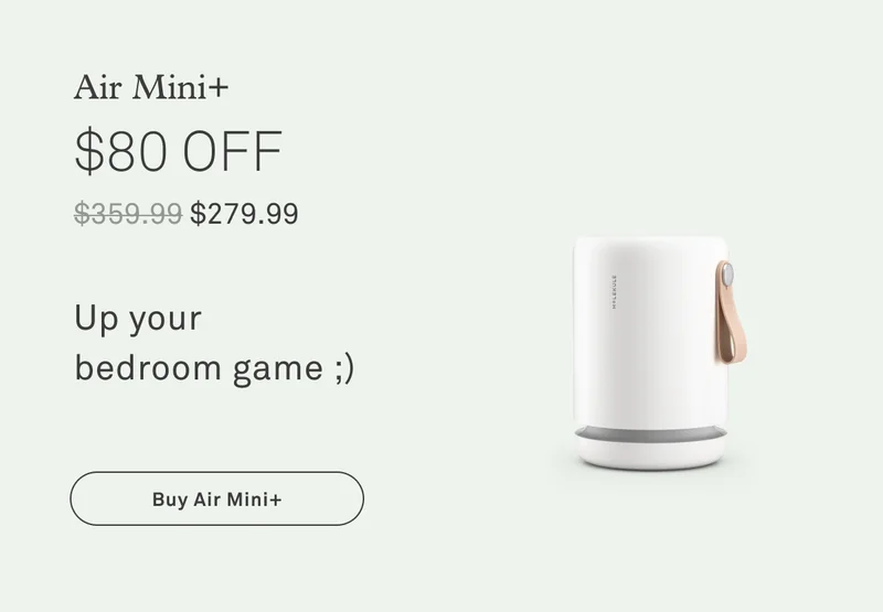 Air Mini+