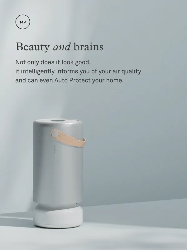 Beauty and brains - Not only does it look good, it intelligently informs you of your air quality.