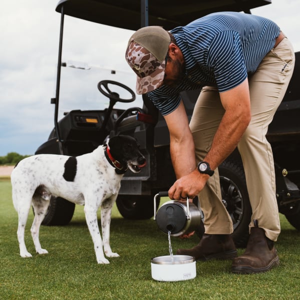 Shop Boomer™ Dog Bowls