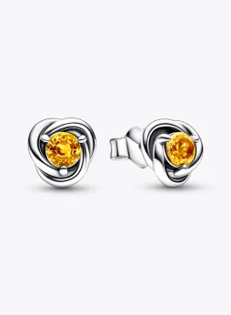 November Honey Eternity Circle Stud Earrings