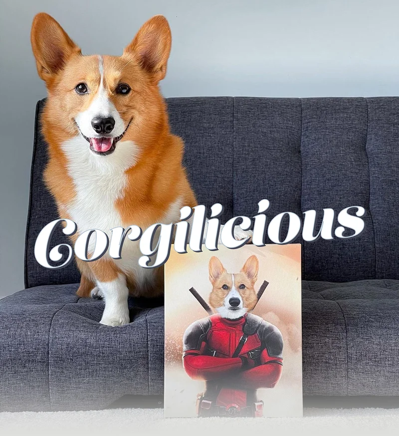 Corgilicious!