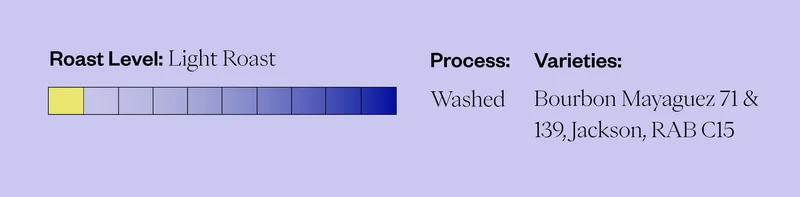 Roast level: Light Roast Process: Washed Varieties: Bourbon Mayaguez 71 & 139, Jackson, RAB C15