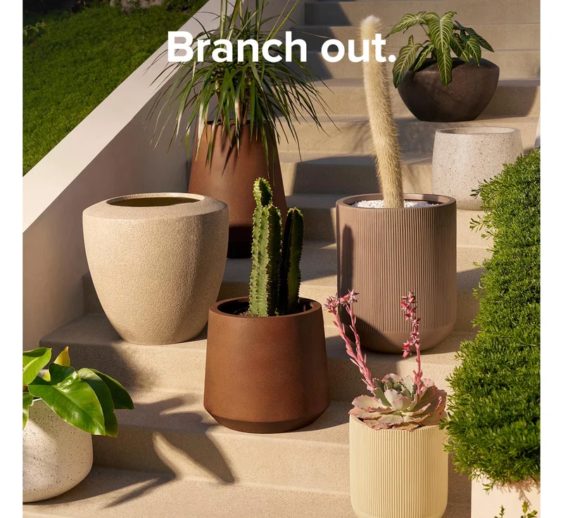 Branch out.