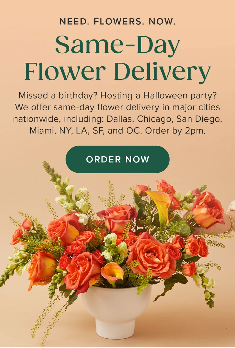 Same-Day Flower Delivery. Missed a birthday? Hosting an early Halloween party? We offer same-day flower delivery in major cities nationwide, including: Dallas, Chicago, San Diego, Miami. NY, LA, SF, and OC. Order by 2pm.