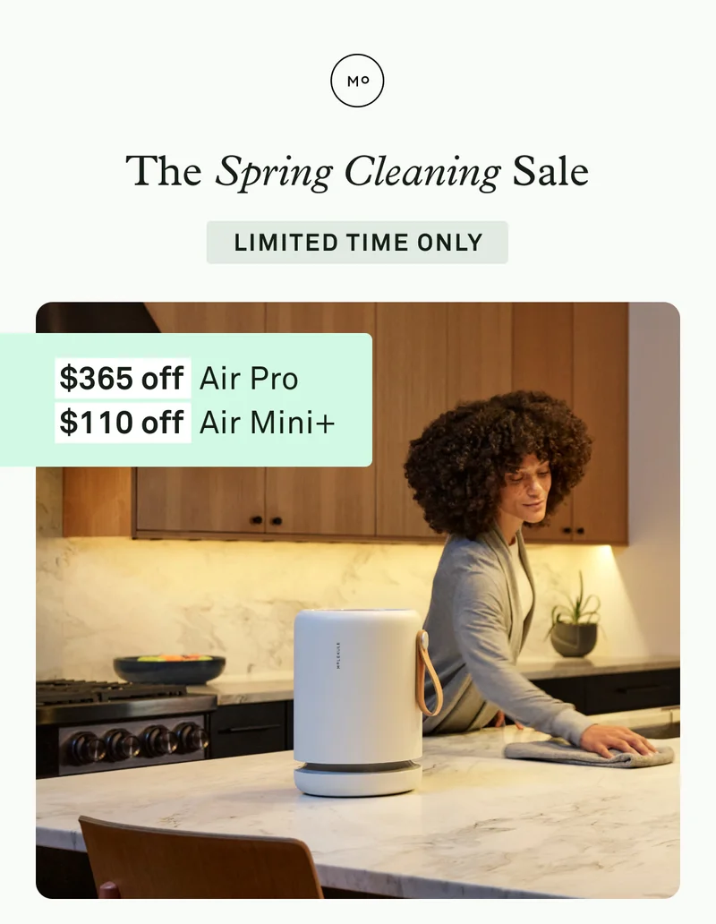 The Spring Cleaning Sale