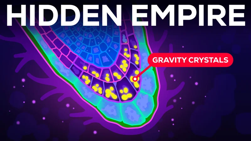 New Video! Hidden Empires