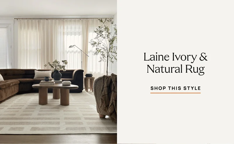 Laine Ivory & Natural Rug