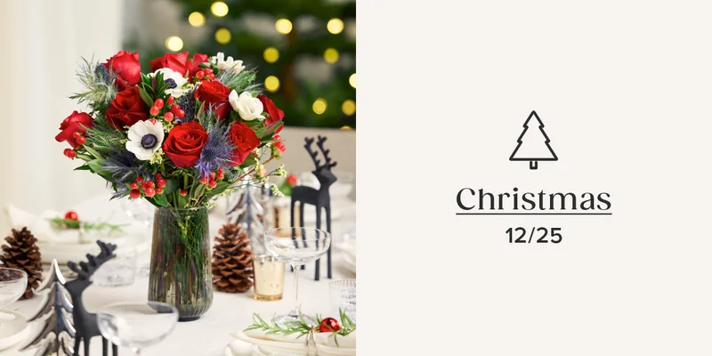 Shop Christmas (12/25)