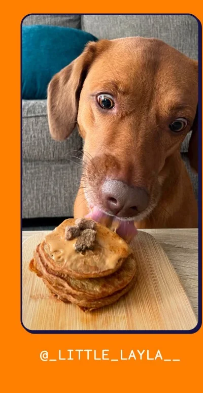 See Layla's pumpkin pancakes (link to Instagram post)