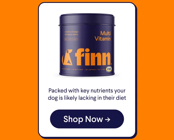 Multivitamin: Packed with key nutrients your dog is likely lacking in their diet