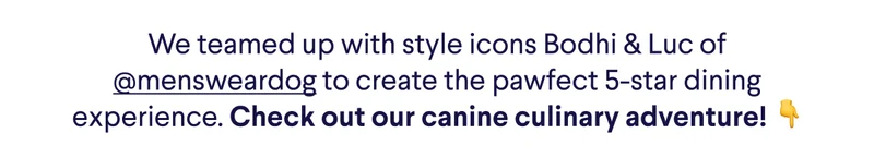 We teamed up with style icons Bodhi & Luc of @mensweardog to create the pawfect 5-star dining experience. Check out our canine culinary adventure! 👇