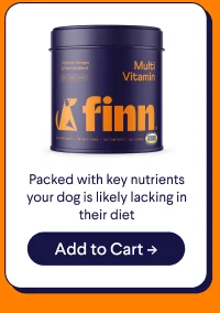 Multivitamin: Packed with key nutrients your dog is likely lacking in their diet